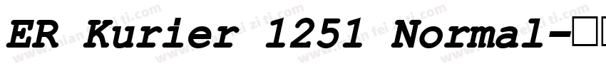 ER Kurier 1251 Normal字体转换